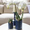 Sada Kolibri Orchids s bílou orchidejí Amabilis a Náhled obrázku produktu 4