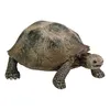 Riesenschildkröte Schleich 14601 Produktbild-Vorschau 3