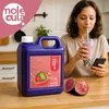 SIRUP FÜR BUBBLE TEA 2,5 l KONZENTRAT-SAFT-Guave Produktbild-Vorschau 8