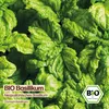 Samenliebe  Basilikum Samen | italienischer Neapolitano - Produktbild-Vorschau 4