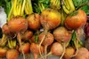 SAFLAX - BIO - Zlatá řepa - Beta vulgaris - 50 Semena Náhled obrázku produktu 4