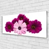 Glasbilder 125x50 Wandbild Druck auf Glas Blumen Pflanzen Produktbild-Vorschau 2