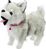 A plush toy husky dog standing on a white background. Náhľad obrázku produktu