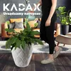 A person watering a plant in a modern living room. Náhľad obrázku produktu