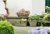 Rattan Pflanzkasten Koboo Grey 46cm – Balkonkasten Produktbild-Vorschau 9