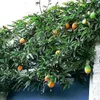 A passionflower vine with fruits growing on a wall. Anteprima dell’immagine prodotto