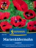 Kiepenkerl Marienkäfermohnsamen Ladybird Papaver commutatum Produktbild-Vorschau 3