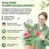 Green Guardia Florfliegenlarven gegen Blattläuse und Produktbild-Vorschau 6