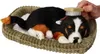 Perfect Petzzz 96644 Berner Sennenhund Produktbild-Vorschau 3