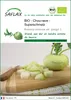 SAFLAX  -- Chou-rave - Superschmelz - 20 graines - Brassica Voir les images du produit 1