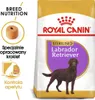 Royal Canin Labrador Adult Sterilised 12kg Voir les images du produit 2