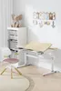 HOKO Kinderschreibtisch-Set 120x60 cm höhenverstellbar, mit Produktbild-Vorschau 20