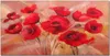 Coloray Bild aus Acryl 140 cm x 70 cm - Gehärtetes Acryl Produktbild-Vorschau 1