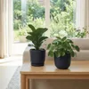 Vyveo - Pot de fleurs Soren - Lot de 2 - Noir - 13 x 12 Voir les images du produit 8