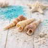 Seashells and blue sand on a wooden surface. Produktbild-Vorschau