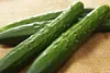SAFLAX  -- Concombre - Marketmore - 20 graines - Cucumis Voir les images du produit 6