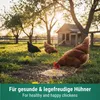 Agrarzone mangime per polli muesli 20 kg Anteprima dell’immagine prodotto 2