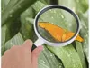 Lupe 3-fach Vergrößerung 95 mm Glaslinse Handlupe Leselupe Produktbild-Vorschau 8