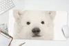 MuchoWow® Mauspad Mousepad Eisbär - Tiere - Weiß - Kinder - Produktbild-Vorschau 5