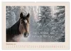 Pferdepoesie - Augenblicke voller Seele (Wandkalender 2027 Produktbild-Vorschau 15
