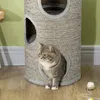 PawHut Krabomb, kraboom voor katten met 3 verborgen Productafbeelding-voorbeeld 8
