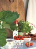 Greengate Teetasse BERRY Weiß mit Erdbeeren Porzellan Tasse Produktbild-Vorschau 8