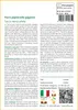 SAFLAX  - Fiore pipistrello gigante - 10 semi - Tacca Anteprima dell’immagine prodotto 3