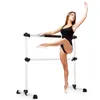 A ballet dancer is posing next to a ballet barre. Náhled obrázku produktu