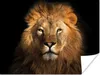 MuchoWow® Poster Löwe - Tiere - Schwarz - Hell - Braun - Produktbild-Vorschau 1