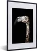 MuchoWow® MuchoWow® Gerahmtes Poster Flamingo - Panther - Produktbild-Vorschau 1