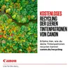 Canon CL-586 XL couleur Voir les images du produit 7