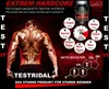 BPV - TESTRIDAL 60 Kapseln - Hardcore Booster - Produktbild-Vorschau 3