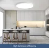 LED Deckenleuchte Kompatibel mit Alexa  Smart Deckenlampe Produktbild-Vorschau 6