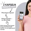 RedMoringa Hyaluronsäure Marine Kollagen Komplex + Moringa Produktbild-Vorschau 6