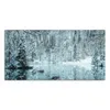 DEQORI Hybrid Leinwand Bild 100x50 cm 'Winterspiegelung' Produktbild-Vorschau 2