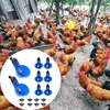 8 Stücke Hühnertränke Automatische Geflügeltränke DIY Produktbild-Vorschau 4