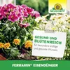 Neudorff Ferramin Eisendünger 250 ml - organischer Dünger Produktbild-Vorschau 5