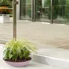 Flache Pflanzschale für draussen Dekoschale rund Rost-Optik Produktbild-Vorschau 7