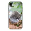 MuchoWow® Handyhülle Schutzhülle Hülle für iPhone XR Koala Produktbild-Vorschau 1
