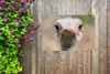 MuchoWow® 90x60 cm Outdoor-Poster Gartendeko Sichtschutz Produktbild-Vorschau 5
