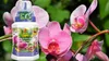 Orchideendünger 0,25 l - Hochwertig - Nährstoffreich - Für Produktbild-Vorschau 5