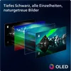Layers of screens showing different image qualities, with the final screen displaying a vibrant landscape. Text describes the image quality. Produktbild-Vorschau