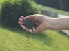 Substral Naturen Rasendünger  für 500 m² 20 kg Produktbild-Vorschau 4