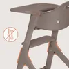 Chaise haute Lionelo Beny avec harnais 3 points, plateau et Voir les images du produit 4