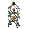 A black metal plant stand with multiple tiers holding various potted plants. Náhled obrázku produktu
