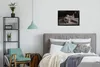 MuchoWow® MuchoWow® Gerahmtes Poster Tier - Katze - Grau Produktbild-Vorschau 5