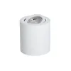 A white cylindrical ceiling light with an adjustable spotlight is shown against a white background. Anteprima dell’immagine prodotto