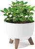 A white planter with wooden legs holding a green plant. Náhled obrázku produktu