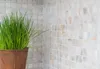 Mosani MOS150-SM2525_f, Mosaik, Drinnen, Rechteck, 300 mm, Produktbild-Vorschau 2
