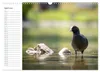 Faszination Alpen (Wandkalender 2027 DIN A3 quer), CALVENDO Produktbild-Vorschau 7
